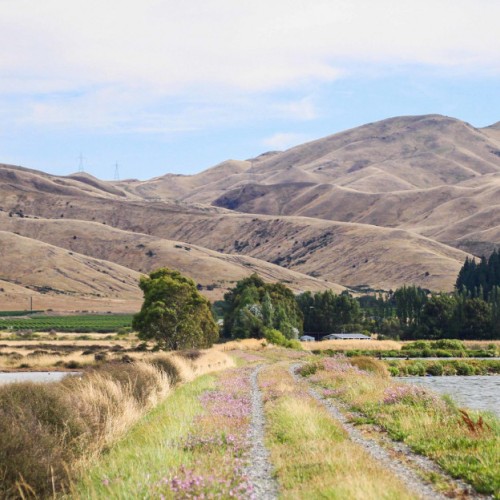 'Wairau Lagoons'