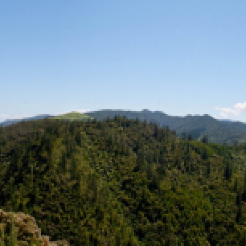 'Karangahake Gorge'