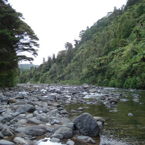 'Kauaeranga River'
