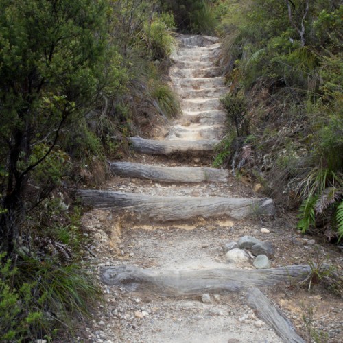 'Pinnacles Track'