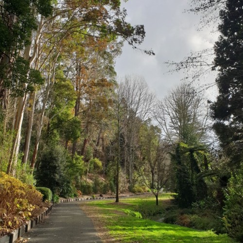Beautiful Stoneham walk along the stream