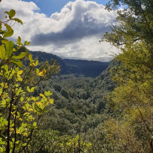 Incredible views from the top of the falls track