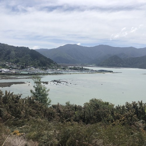 Looking towards Havelock