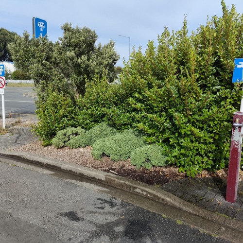 Glengarry Crescent PDS