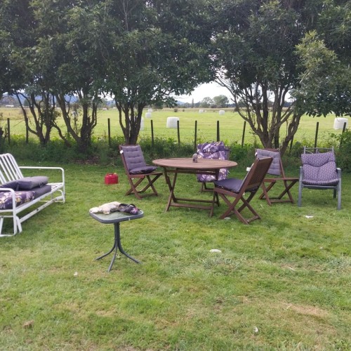 Good shade in the afternoon for socializing