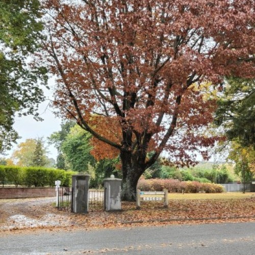 Dump station directly opposite the domain entry gate