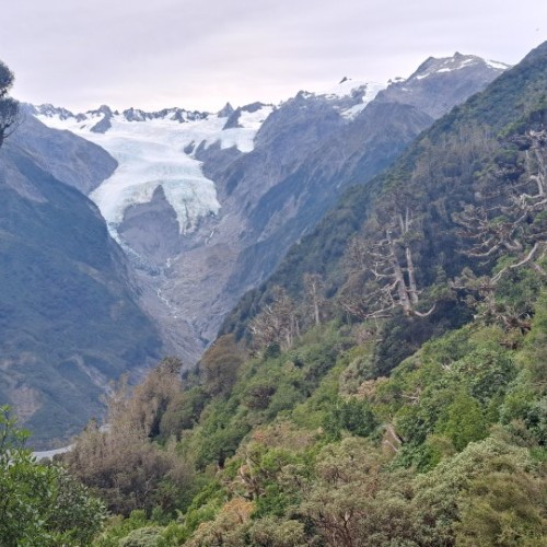 The Franz Josef Glacier from Christmas Lookout.