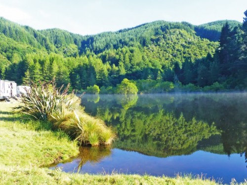 The Hidden Treasures of Gabriel’s Gully Reserve