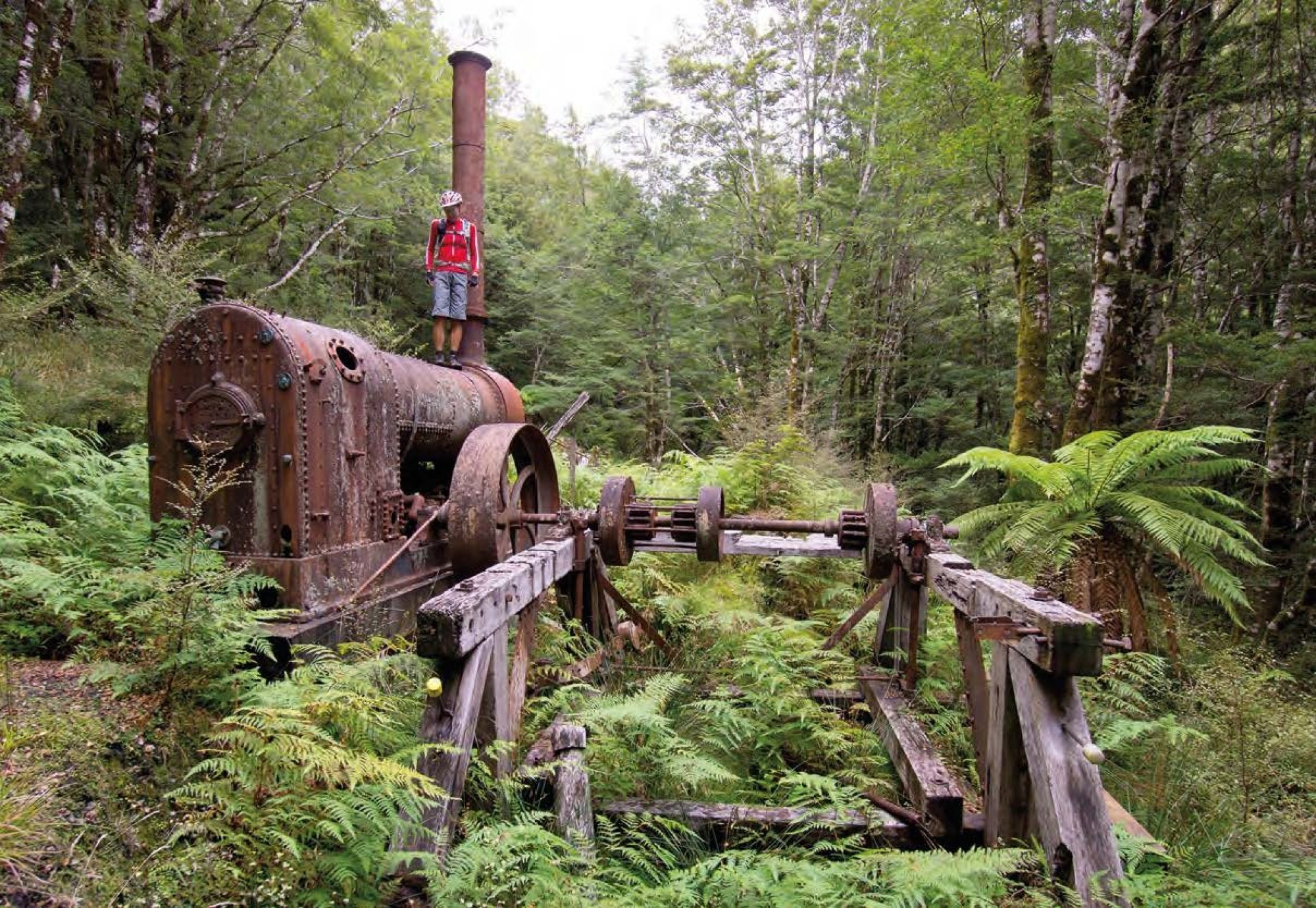 The Wild and Woolly West Coast