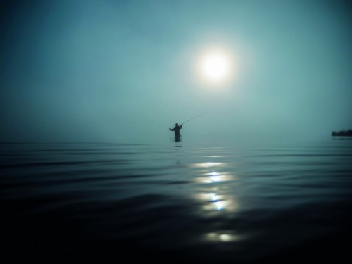 A Tale of Two Campervans