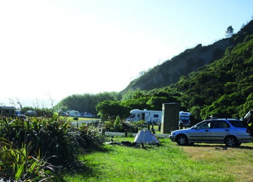 64 DOC campsites are now dog-friendly