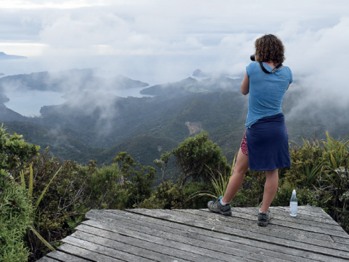 Aotea - The Hauraki Gulf’s Island of Renown