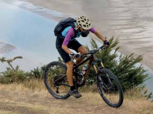 Aotea - Island in the Sun