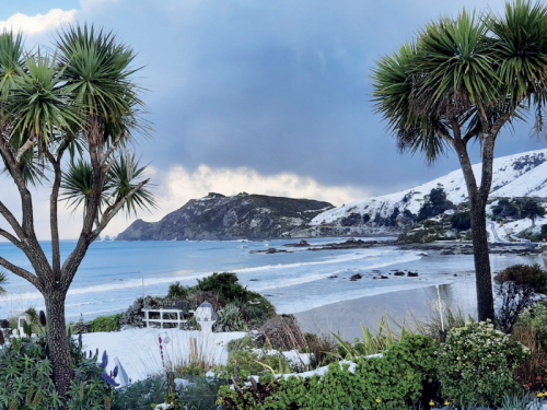 An insider’s guide to.. the Catlins