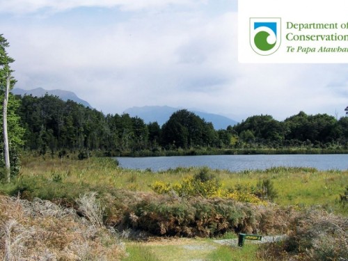 The call of the south