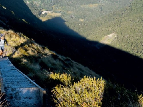 Exploring southern lands