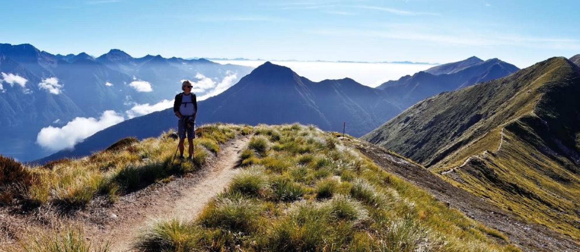 Exploring southern lands