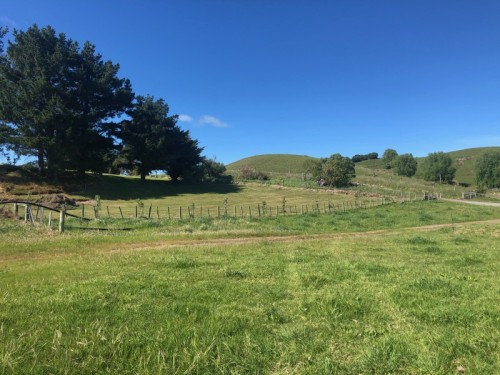 In Case You Missed it: April 2022 Board Report + new NZMCA Park opens