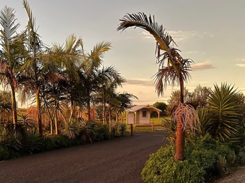 In Case You Missed It: NZMCA Board Report Oct. 2022