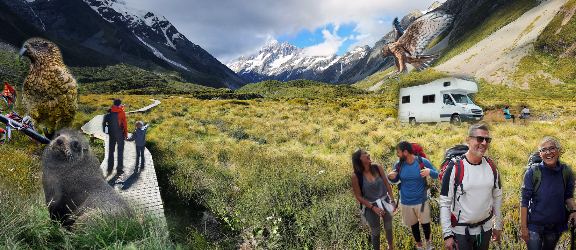 Member discount on DOC campsite pass