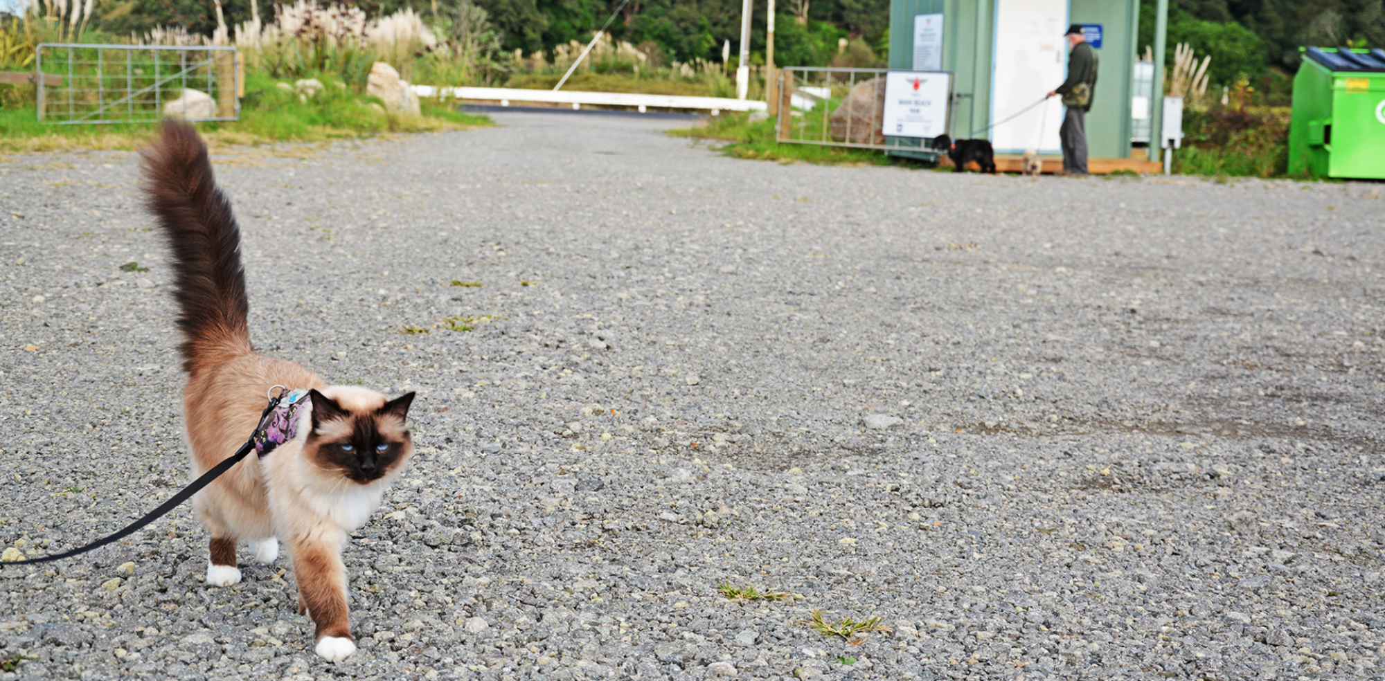 200 complaints received over member behaviour