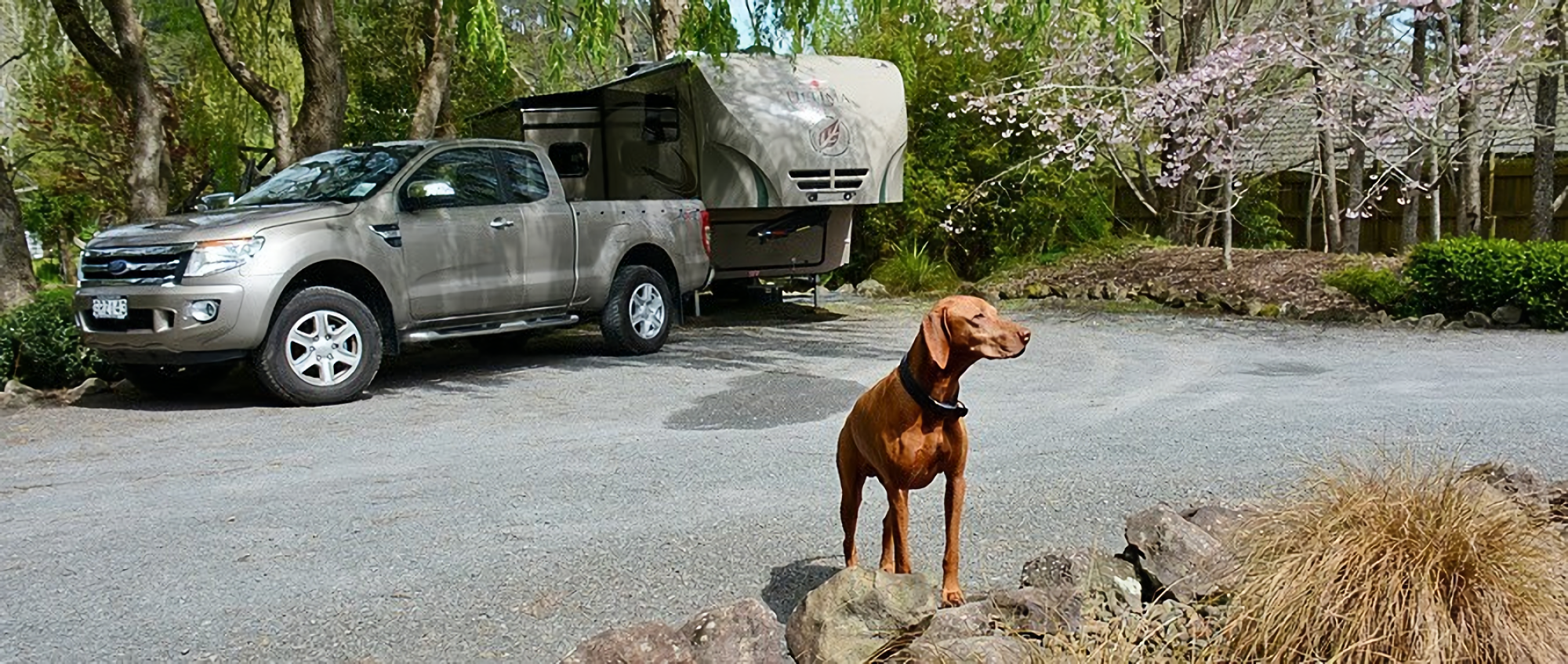 Roll up, furbabies out