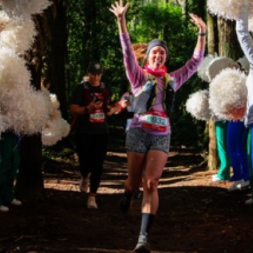 Run The Forest