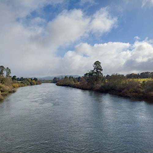 Te Awa Waikato Rivertrail.