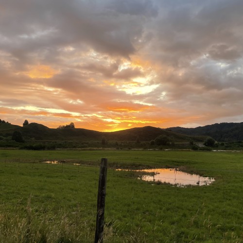 Golden Sky