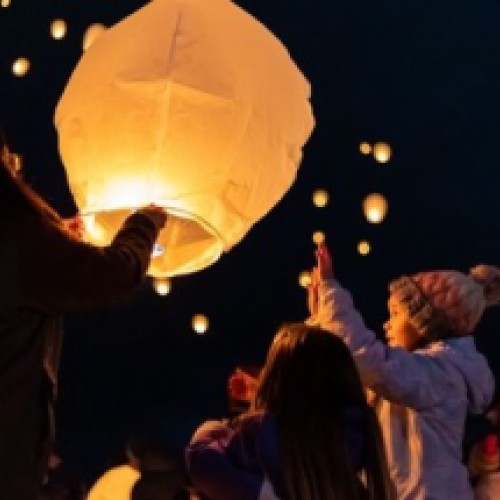 Light Up Winter  