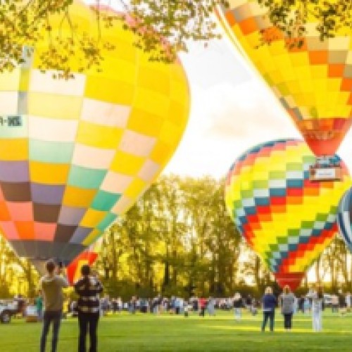 Balloons at Molewood Orchard