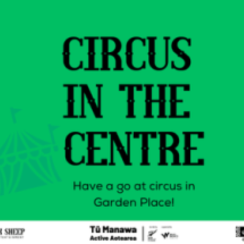 Circus In the Centre
