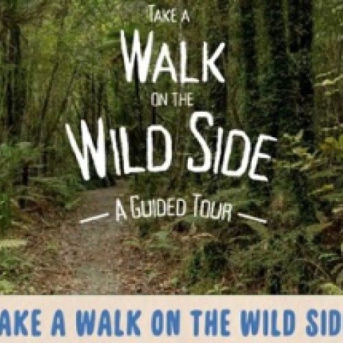 Take A Walk On The Wild Side - Guided Hikoi Tikitapu Nature Walk