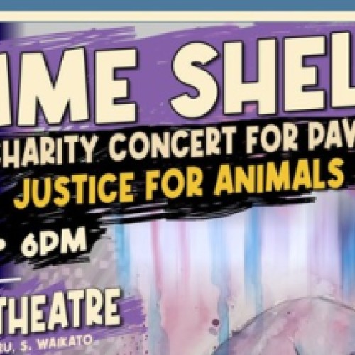 Gimme Shelter Charity Concert