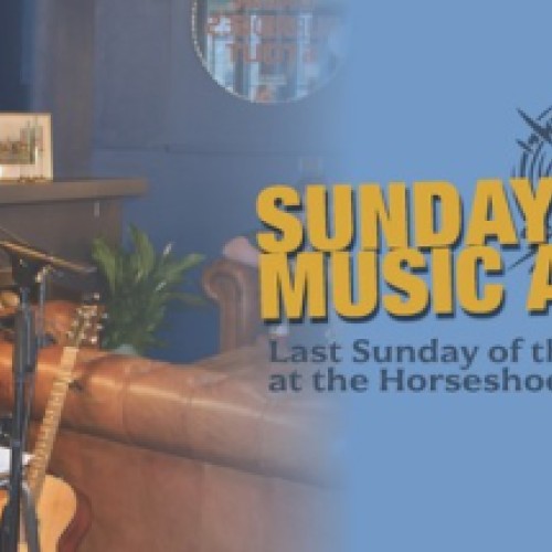 Sunday Music Arvo at the Horseshoe Taproom