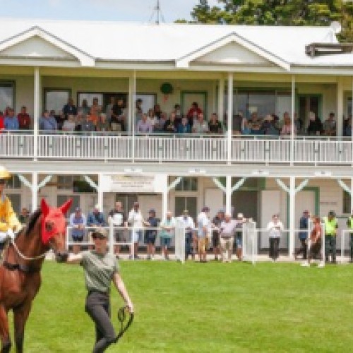 Trust House Raceday