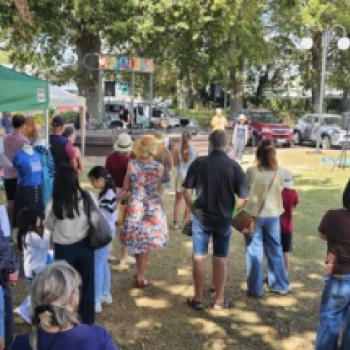Sustainability Fun Day
