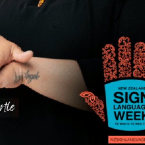 Shadow Puppet Show & Museum Exploration for Deaf Children