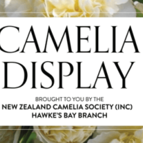 Camelia Display 