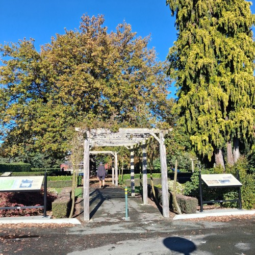 Temuka Domain