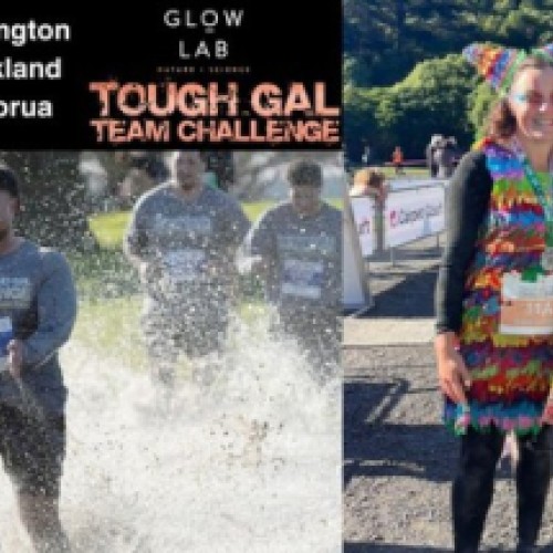Adult Tough Guy and Gal Challenge PLUS Tough Gal Teams