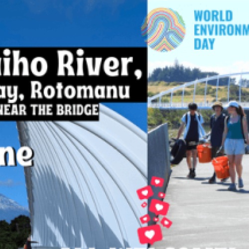 Nature Cleanup - Waiwhakaiho - World Environment Day