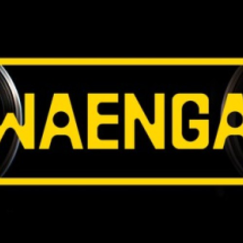 Waenga