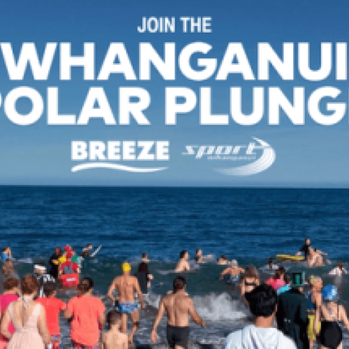 Polar Plunge