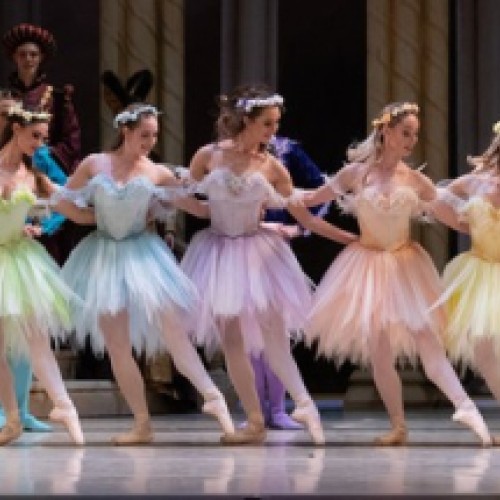 Royal New Zealand Ballet Presents the Sleeping Beauty