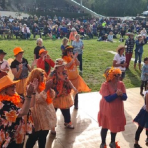 Wairarapa Music in the Country 2027