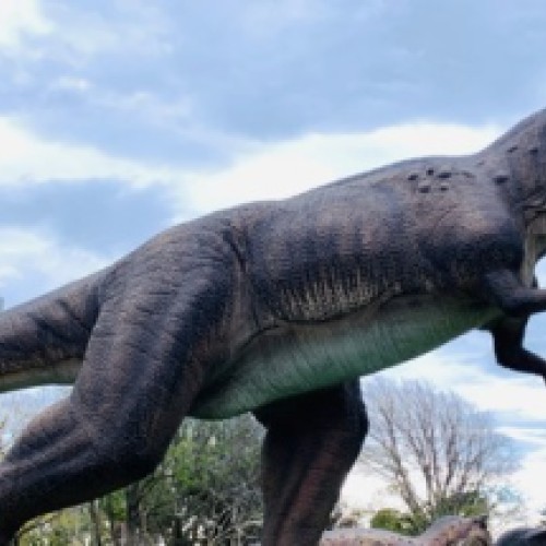 The Amazing Dinosaur Discovery