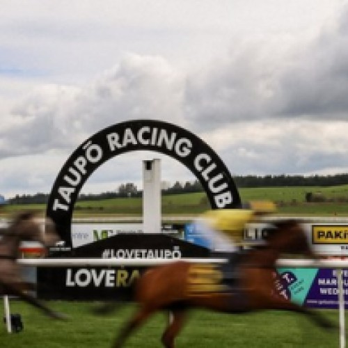 Malcolm Flowers Insurances - Taupo Cup Day 2026