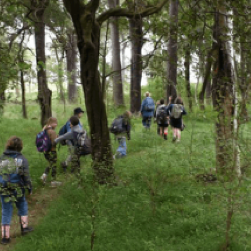 Ongaha Bush Story Walk